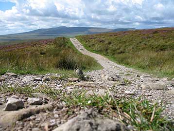 path